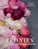 Peonies