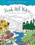 Beside Still Waters Adult Coloring Book: Coloring the Psalms (Majestic Expressions)