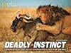 Deadly Instinct