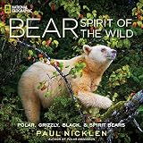 Bear Spirit Of The Wild
