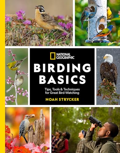 Birding Basics : by Strycker, Noah K