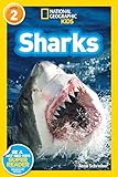 National Geographic Readers Sharks Science Reader Level 2