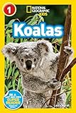 National Geographic Readers Koalas
