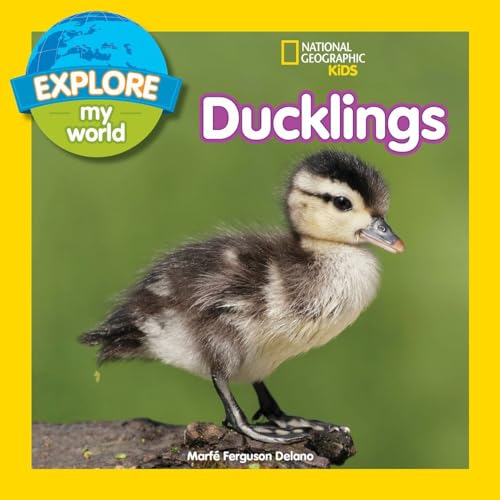 Cover of Explore My World