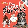So Cute! Puppies (Cool/Cute)