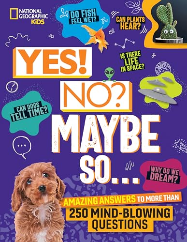 Yes! No? Maybe So. . . / by Beer, Julie