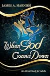When God Comes Down: An Advent Study for Adults