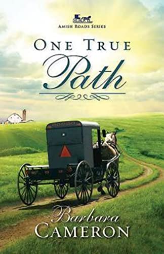 One True Path book cover