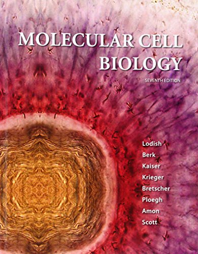 Portada de Molecular Cell Biology