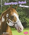 American Paint Horses (Pebble Books: Horses)