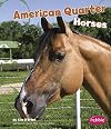 American Quarter Horses