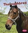 Thoroughbred Horses (Pebble Books: Horses)
