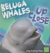 Beluga Whales Up Close (First Facts: Whales and Dolphins Up Close)