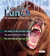 Extreme Lunch: Life and Death in a Food Chain (Fact Finders: Extreme!)