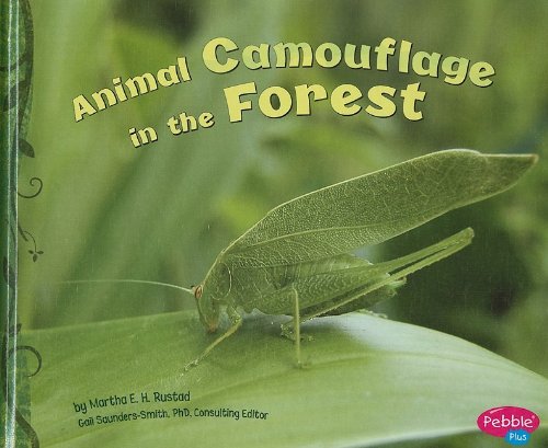 Cover of Animal camouflage in the forest
