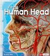 The Human Head (Anatomy Class)