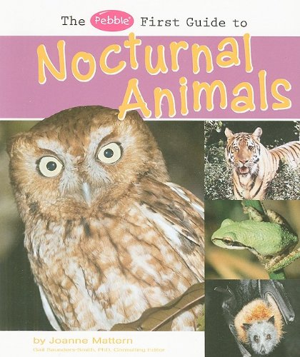 Cover of Pebble First Guide to Nocturnal Animals