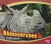 Rhinoceroses (Pebble Plus: Asian Animals)
