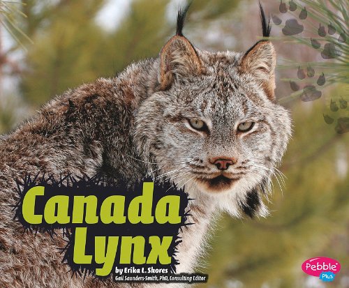 Cover of Canada lynx