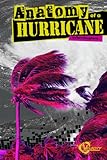 Anatomy Of A Hurricane Disasters