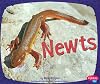 Newts (Pebble Plus: Amphibians)