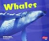 Whales (Pebble Plus: Under the Sea)