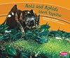 Ants and Aphids Work Together (Pebble Plus: Animals Working Together)