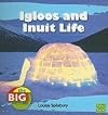 Igloos and Inuit Life (First Facts: The Big Picture: Homes)