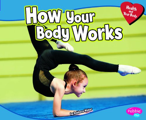 Cover of How Your Body Works