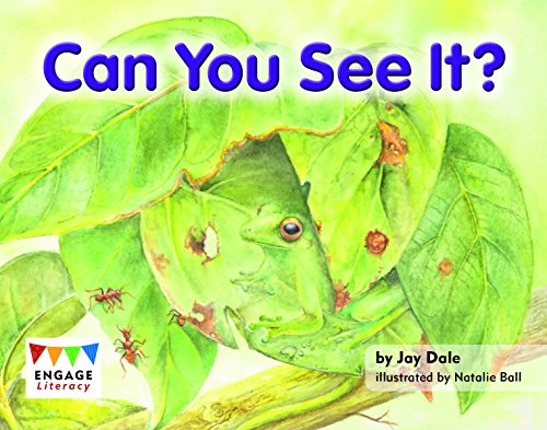 Cover of Can You See It?