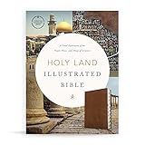 Csb Holy Land Illustrated Bible British Tan Leathertouch Indexed A Visual Exploration Of The People Places And Things Of Scripture