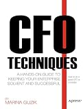 Cfo Techniques A Handson Guide To Keeping Your Business Solvent And Successful