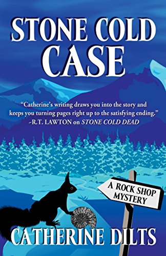 Stone Cold Case book cover