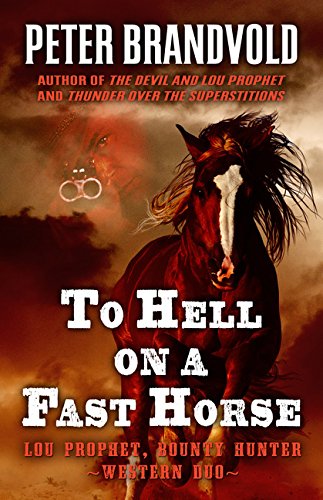 Devil's Ambush book cover