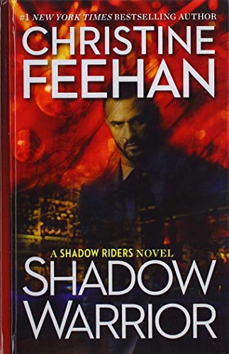 Shadow Warrior book cover