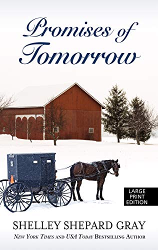 Promises of Tomorrow book cover