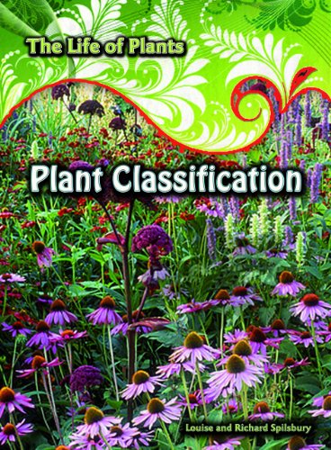 Cover of Plant classification