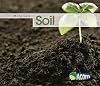 Soil (Acorn: Materials)
