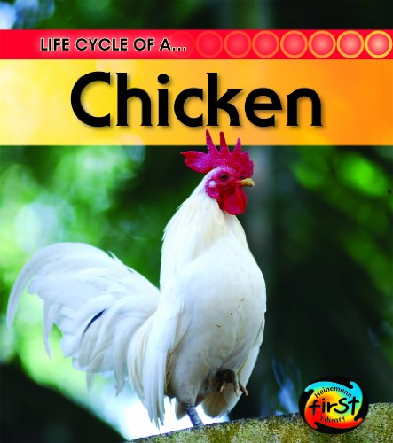 Cover of Life cycle of a chicken