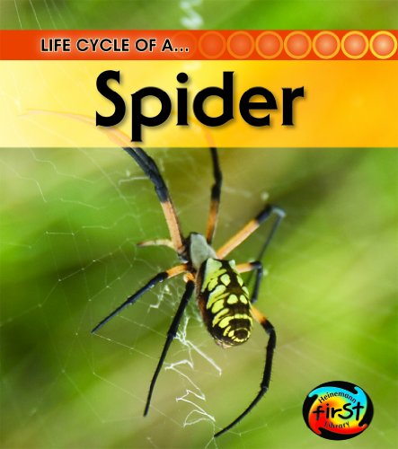 Cover of Life cycle of a-- spider