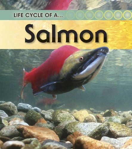 Cover of Salmon