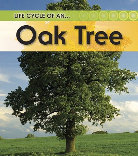 Cover of Oak Tree
