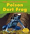 Poison Dart Frog (A Day in the Life: Rain Forest Animals)
