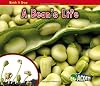 A Bean's Life (Acorn: Watch It Grow)