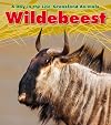 Wildebeest (A Day in the Life: Grassland Animals)