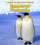 Emperor Penguin A Day In The Life Polar Animals