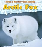 Arctic Fox A Day In The Life Polar Animals