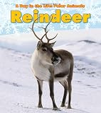 Reindeer A Day In The Life Polar Animals