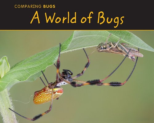Cover of World of Bugs