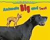 Animals Big and Small (Math Every Day)